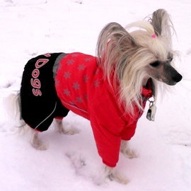 Zimní oblečky na psy – overaly For My Dogs